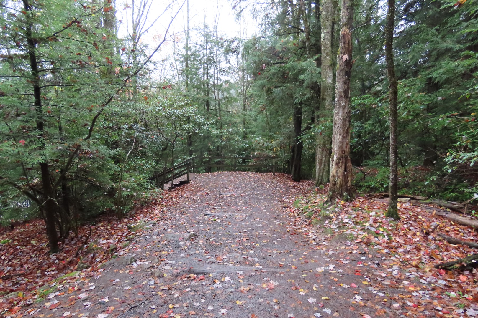 Blackwater Falls State Park in West Virginia  1 of 26 (#2878)