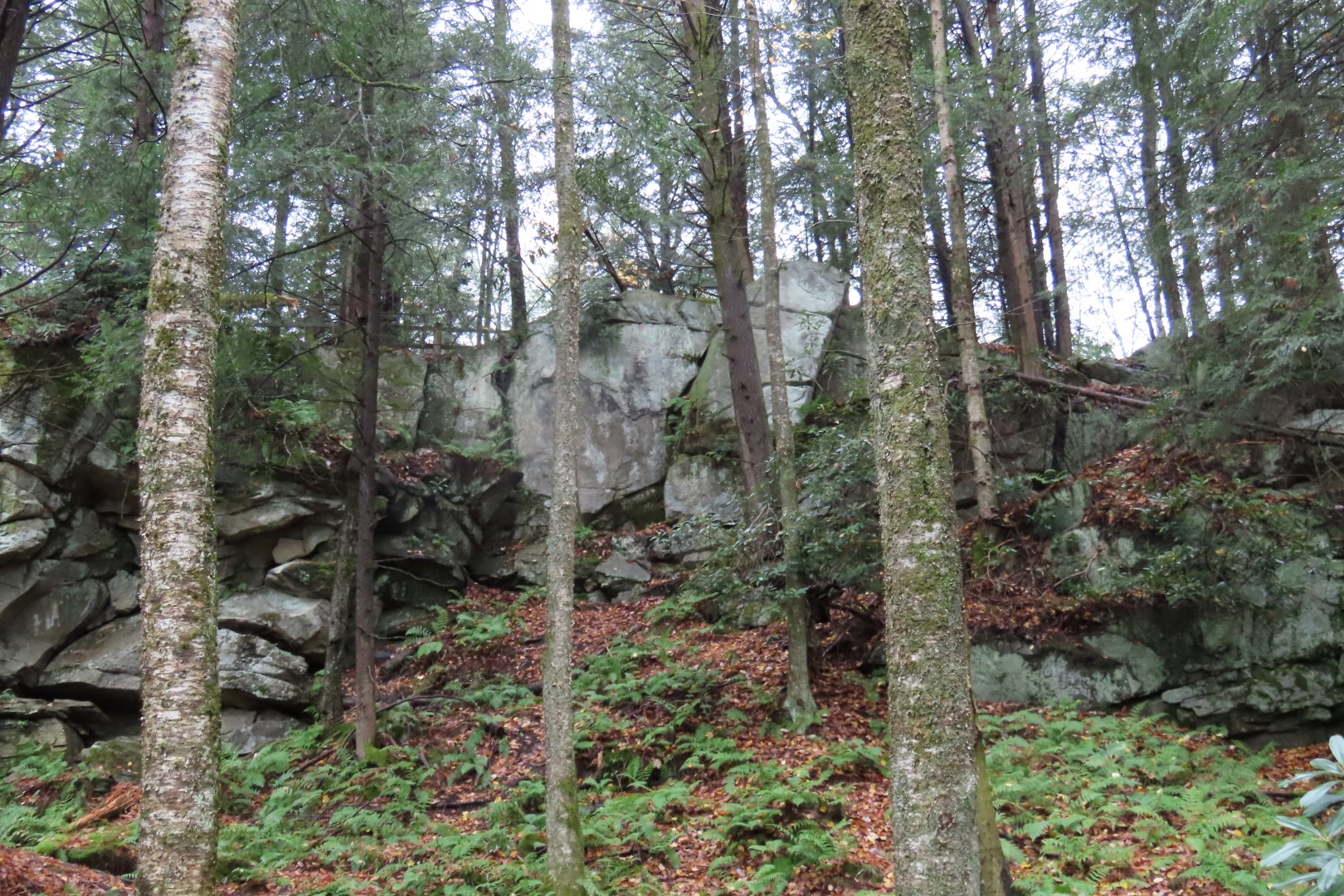 Blackwater Falls State Park in West Virginia  5 of 26 (#2882)