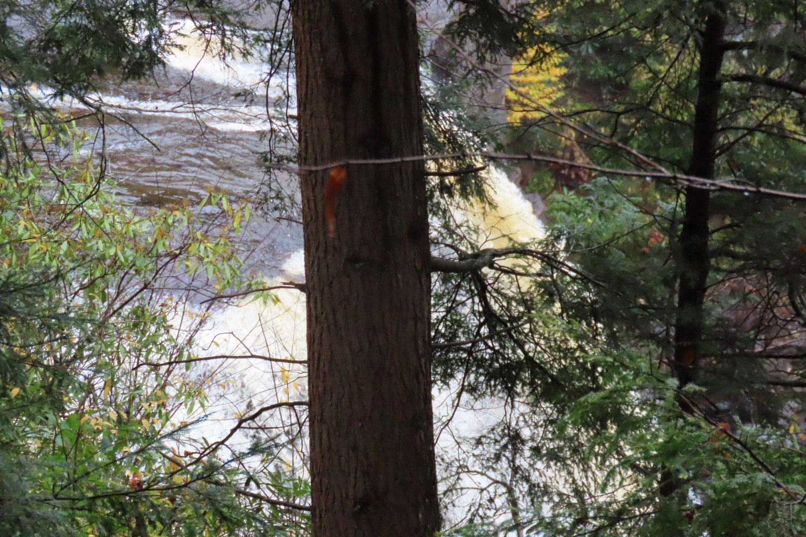 Blackwater Falls State Park in West Virginia  6 of 26 (#2883)