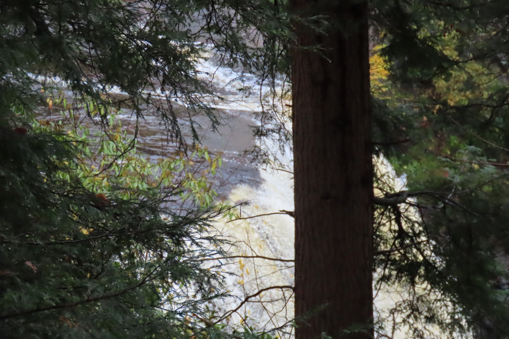 Blackwater Falls State Park in West Virginia  7 of 26 (#2884)