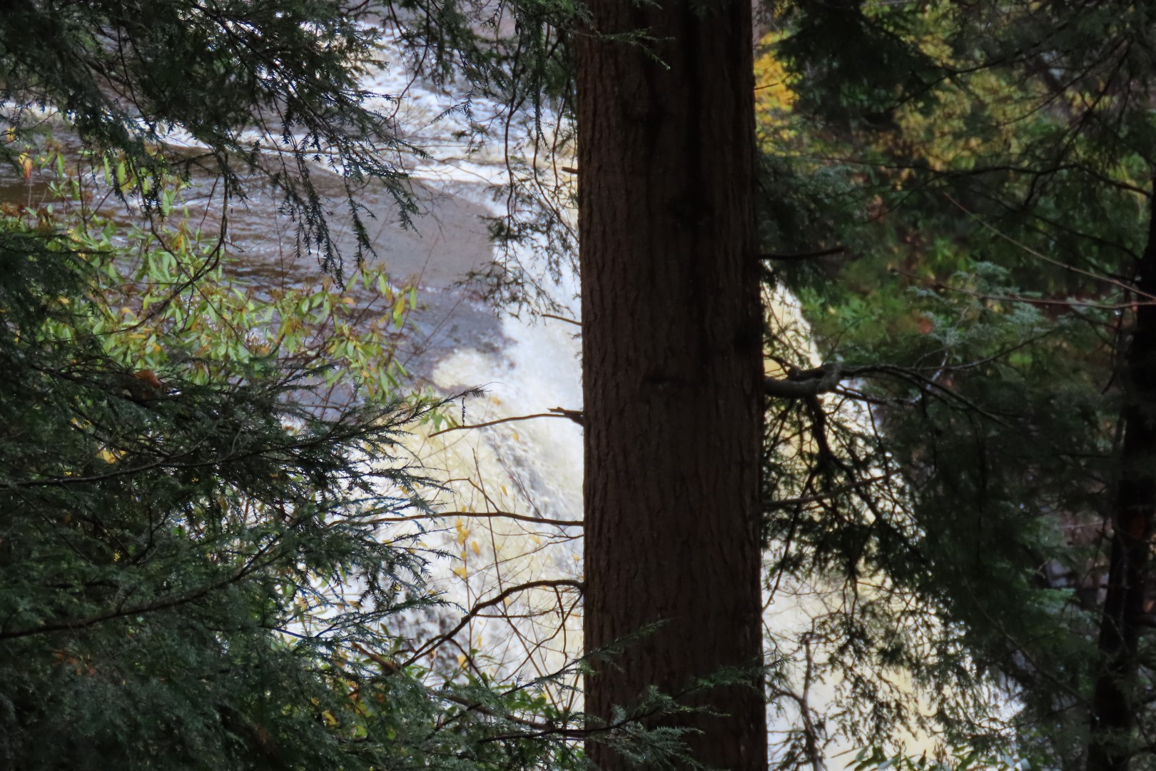 Blackwater Falls State Park in West Virginia  8 of 26 (#2885)