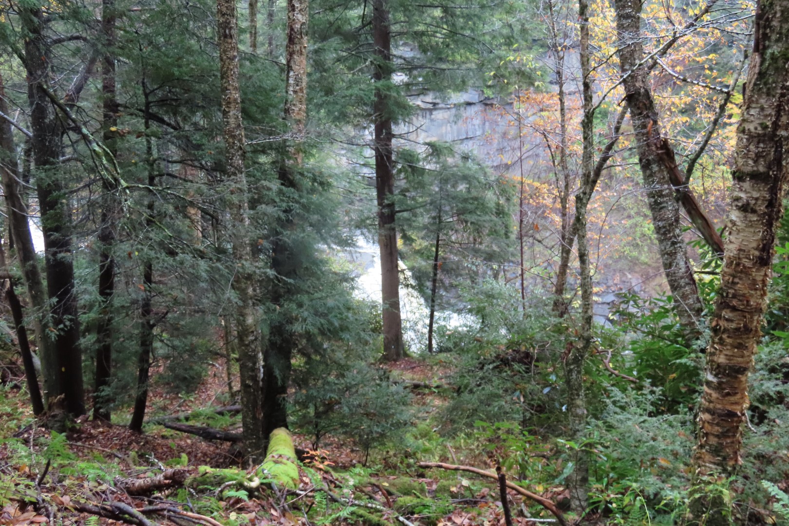 Blackwater Falls State Park in West Virginia  9 of 26 (#2886)
