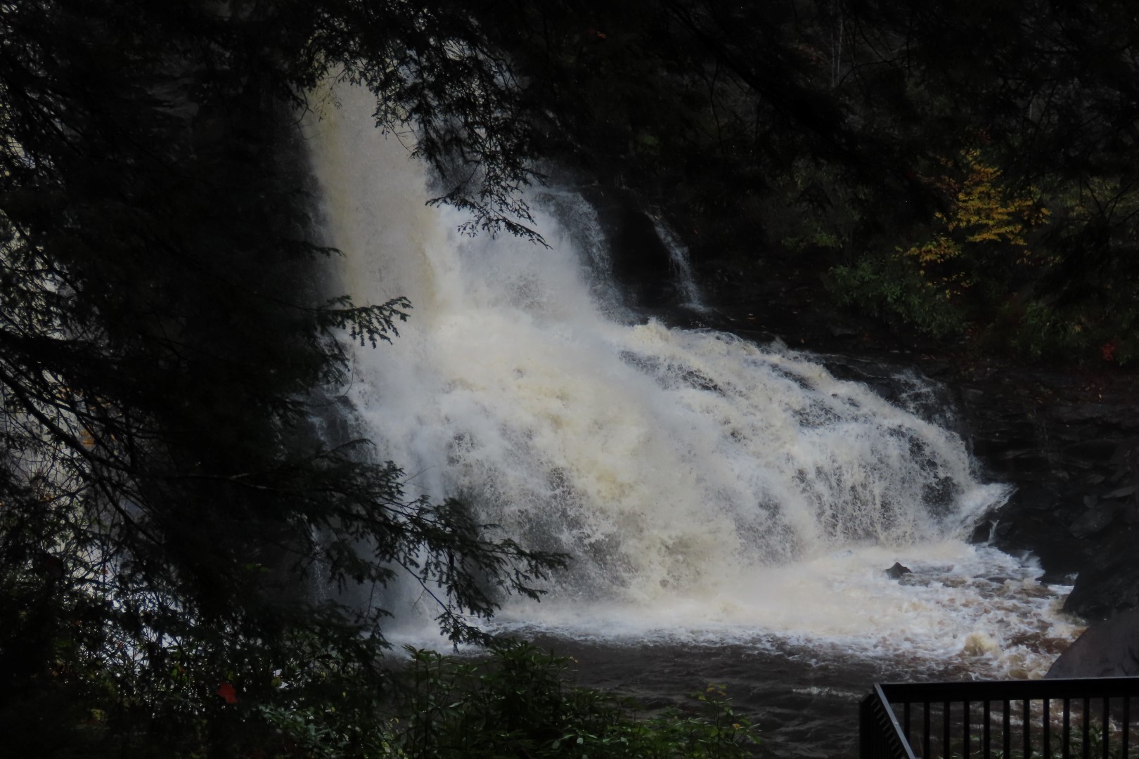 Blackwater Falls State Park in West Virginia 14 of 26 (#2891)