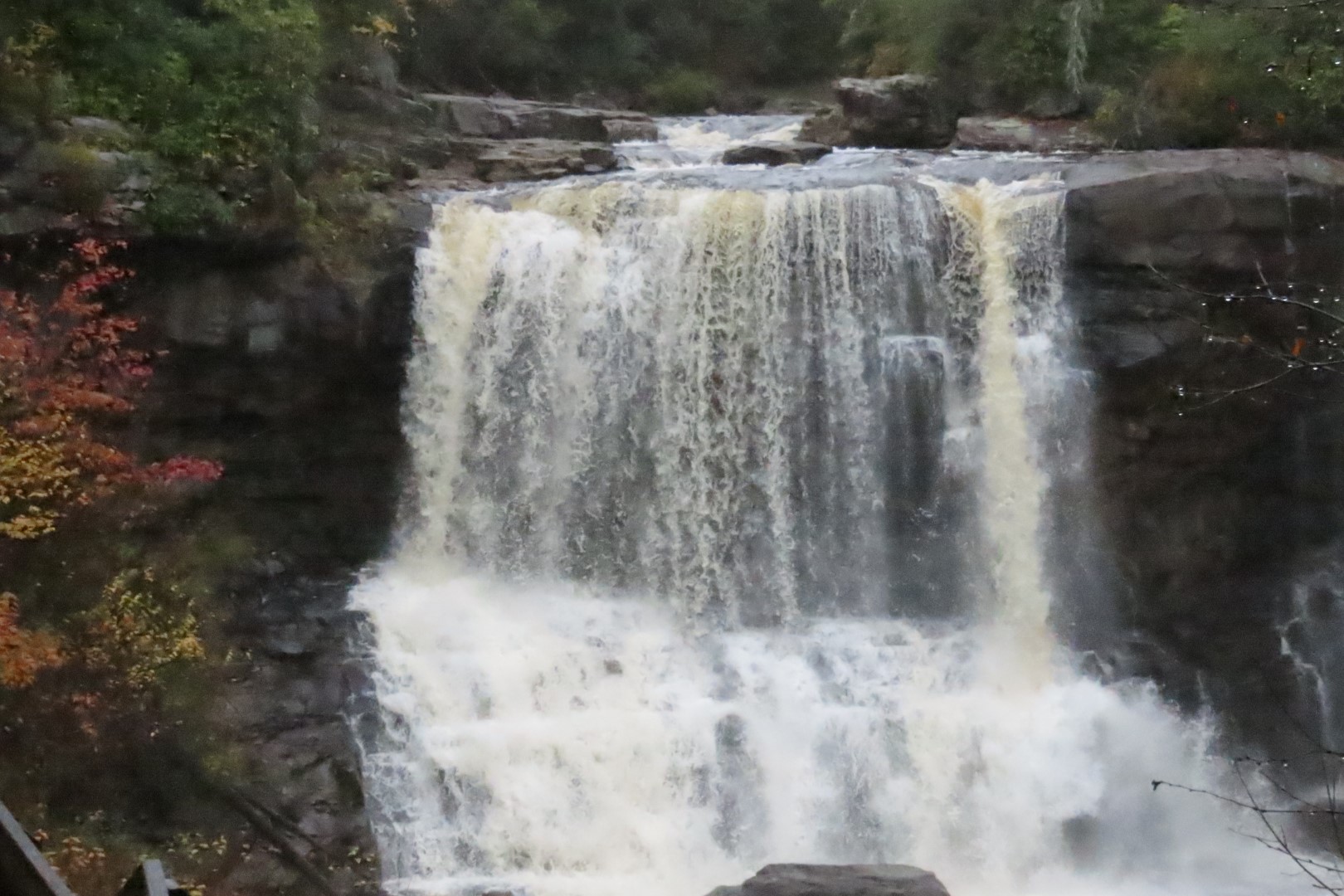 Blackwater Falls State Park in West Virginia 16 of 26 (#2893)