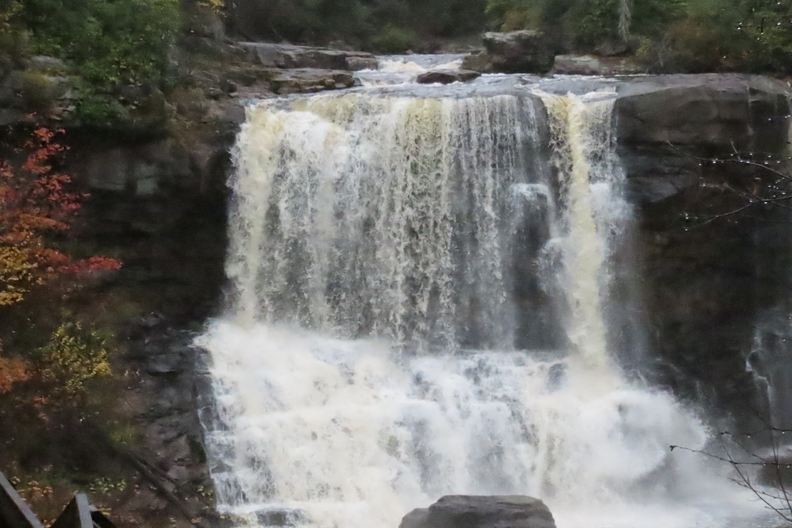 Blackwater Falls State Park in West Virginia 20 of 26 (#2897)