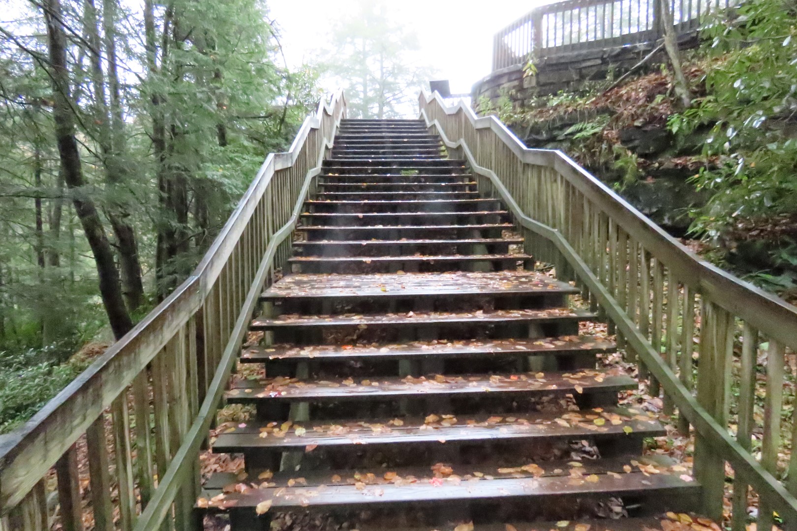 Blackwater Falls State Park in West Virginia 26 of 26 (#2903)