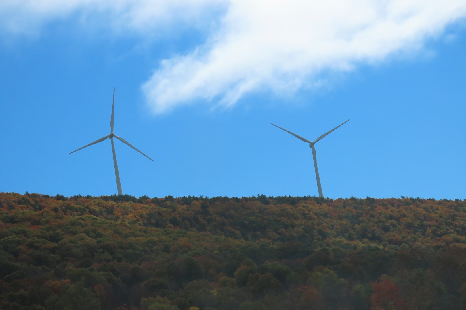 Along the Highways in West Virginia, Virginia and North Carolina  3 of  8 (#2911)