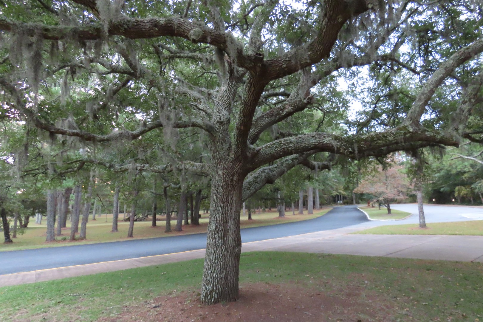 Fort Raleigh National Park North Carolina 14 of 14 (#2938)