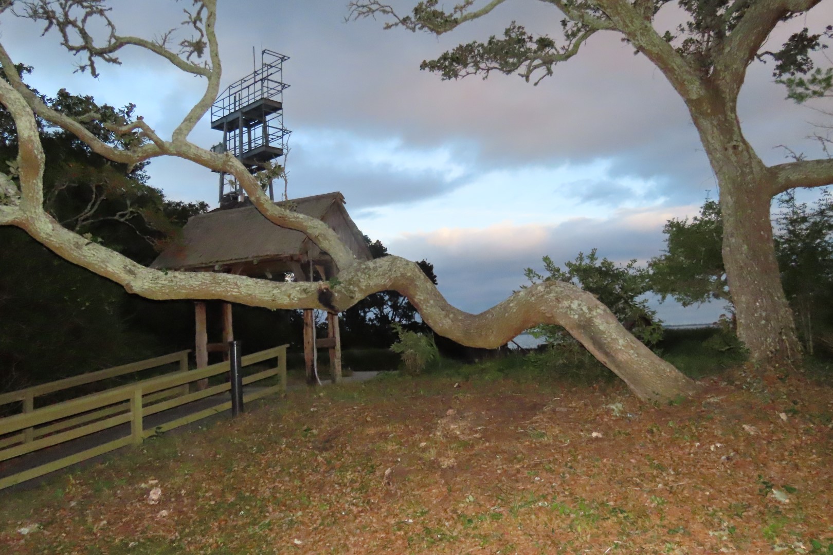 Fort Raleigh National Park North Carolina  9 of 23 (#2947)