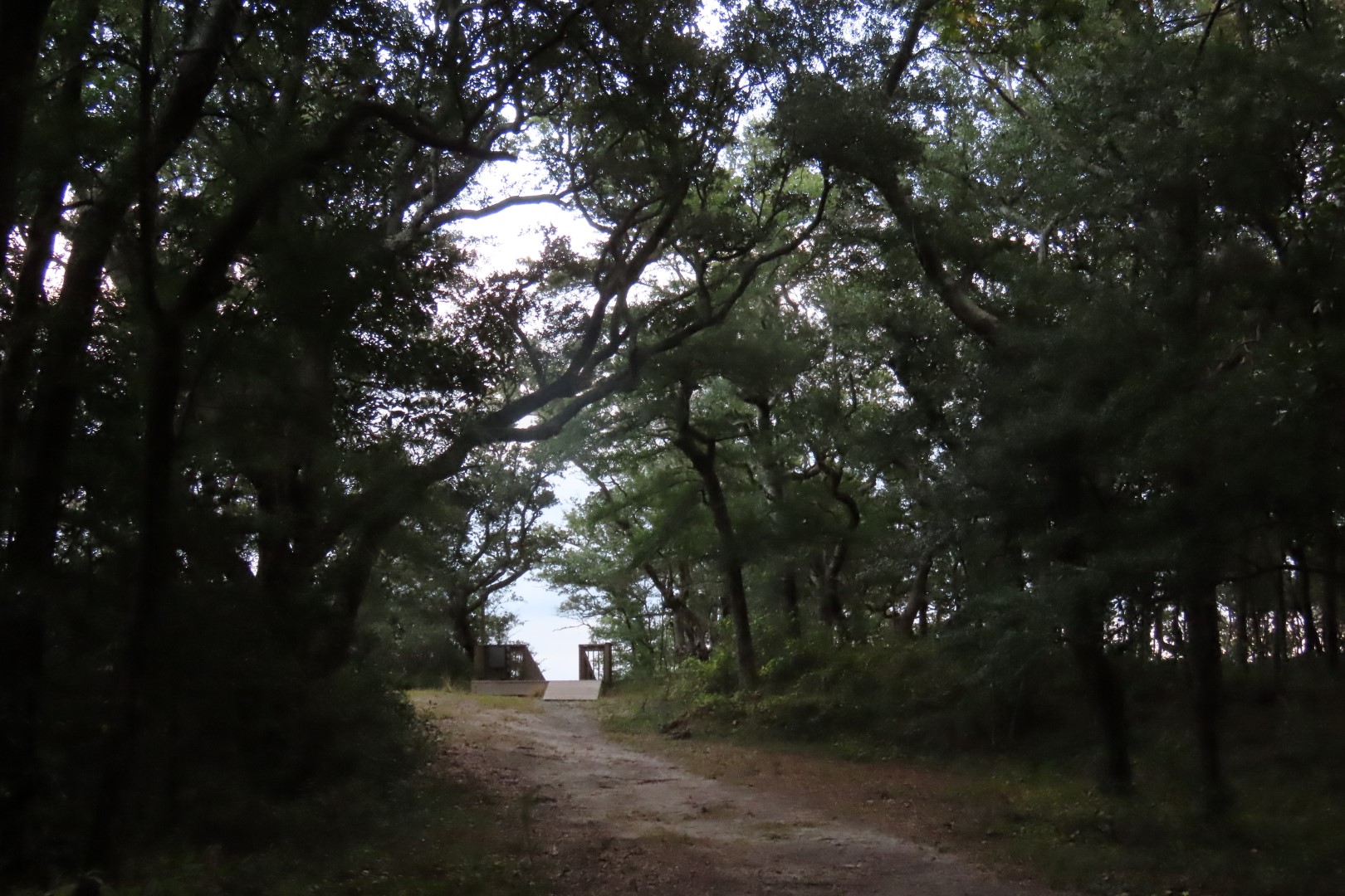 Fort Raleigh National Park North Carolina 22 of 23 (#2960)