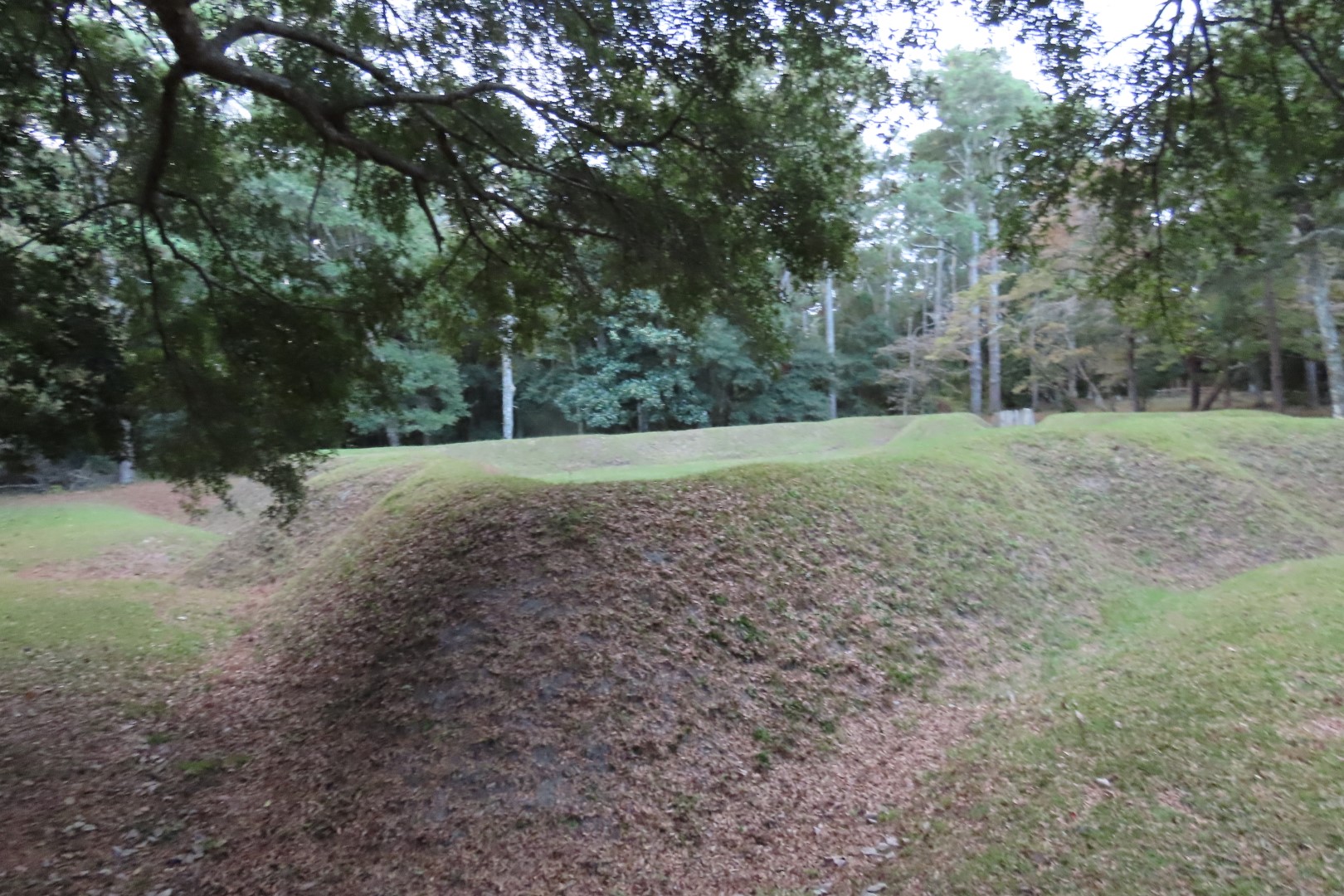 Fort Raleigh National Park North Carolina  4 of 23 (#2962)