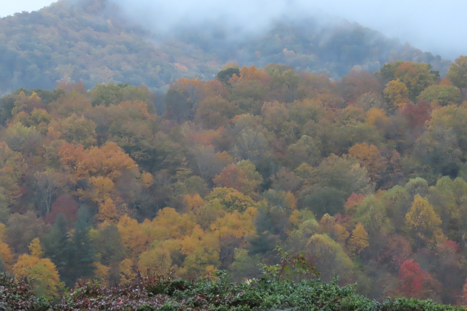 Along the Highways in West Virginia, Virginia and North Carolina  7 of  8 (#2989)