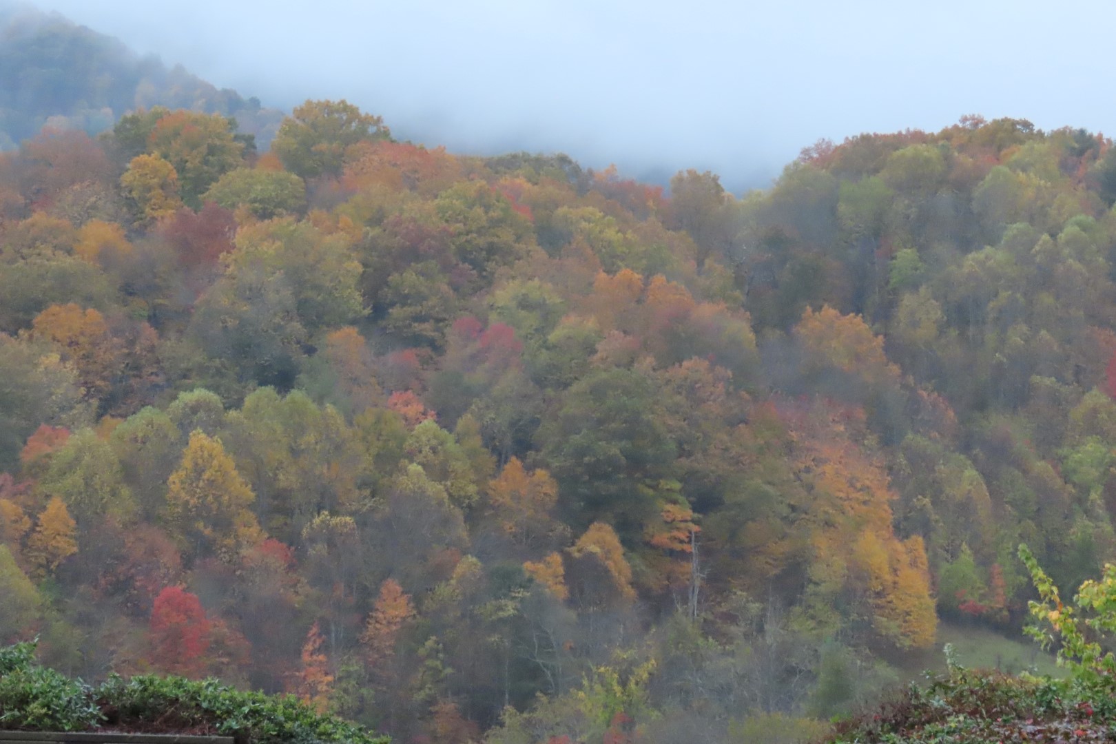 Along the Highways in West Virginia, Virginia and North Carolina  8 of  8 (#2990)