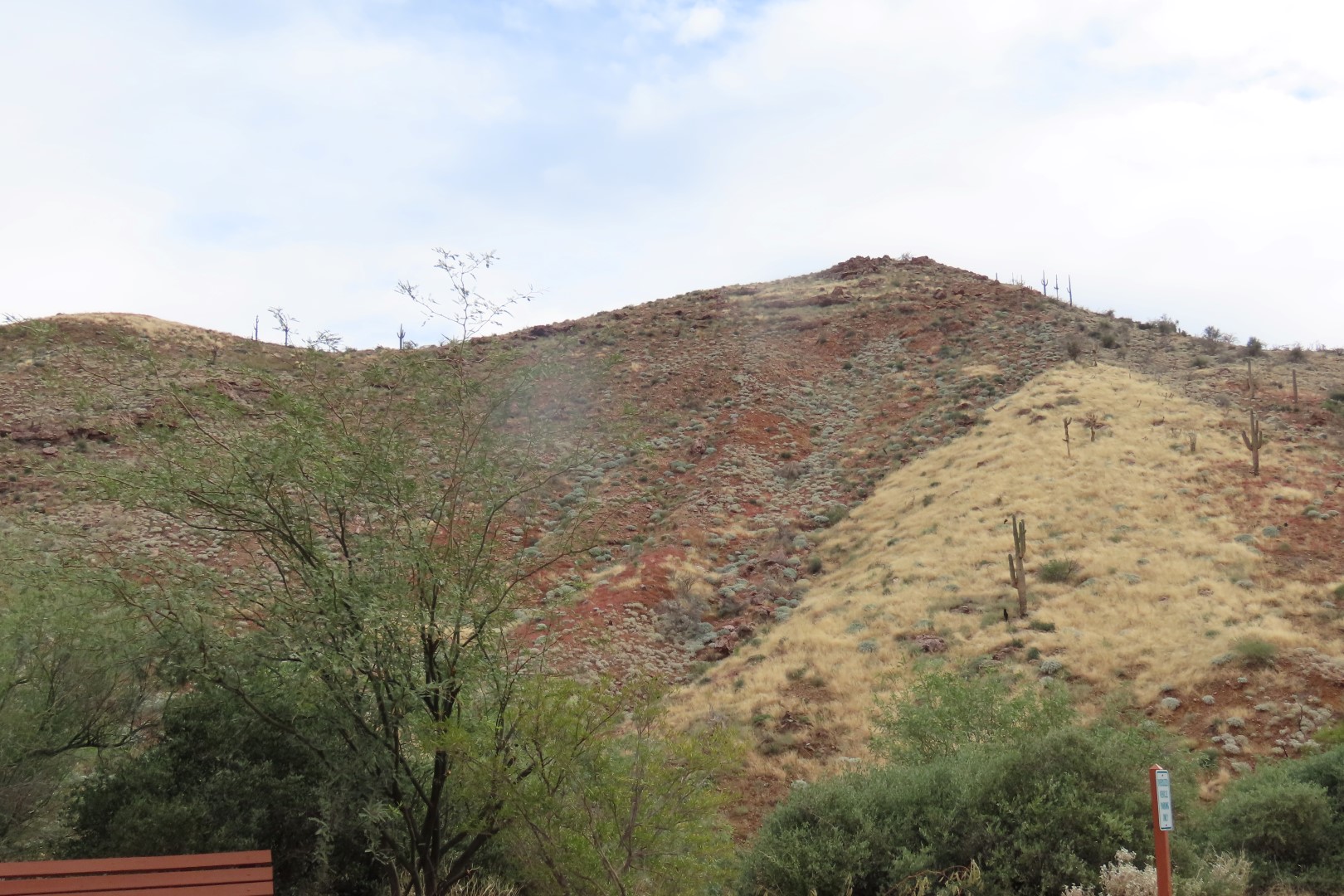 Along Tonto National Park path to the cliff dwellers's home  1 of 28 (#2998)
