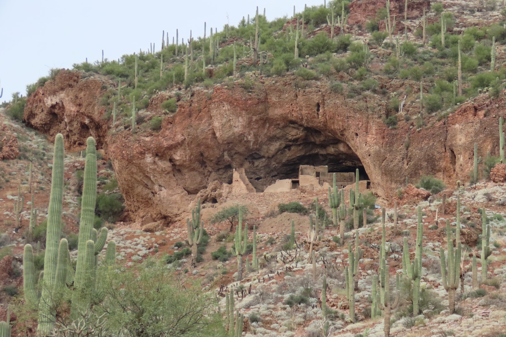 Along Tonto National Park path to the cliff dwellers's home  3 of 28 (#3000)