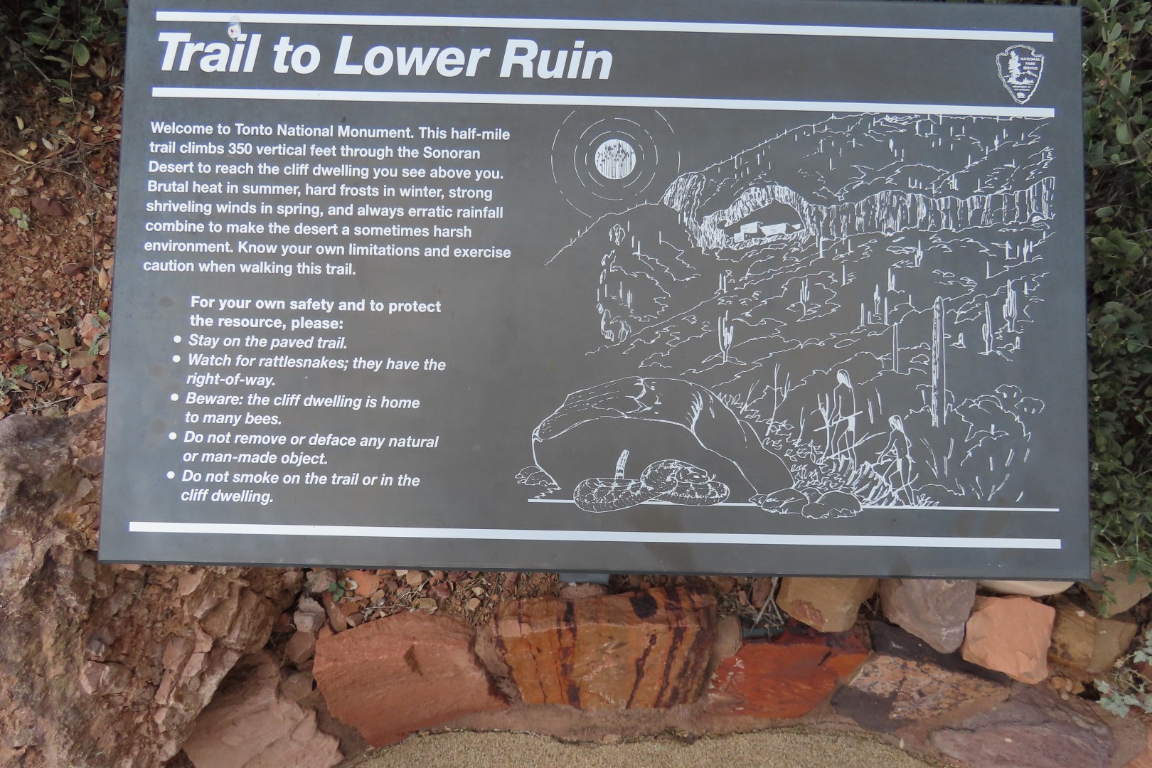 Along Tonto National Park path to the cliff dwellers's home  4 of 28 (#3001)