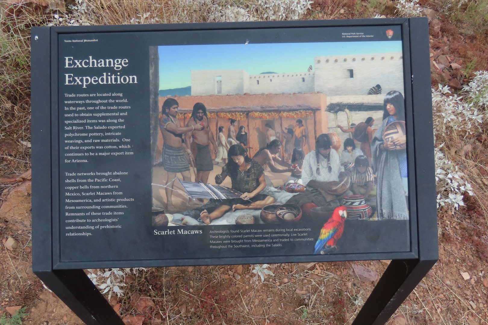 Along Tonto National Park path to the cliff dwellers's home  8 of 28 (#3005)