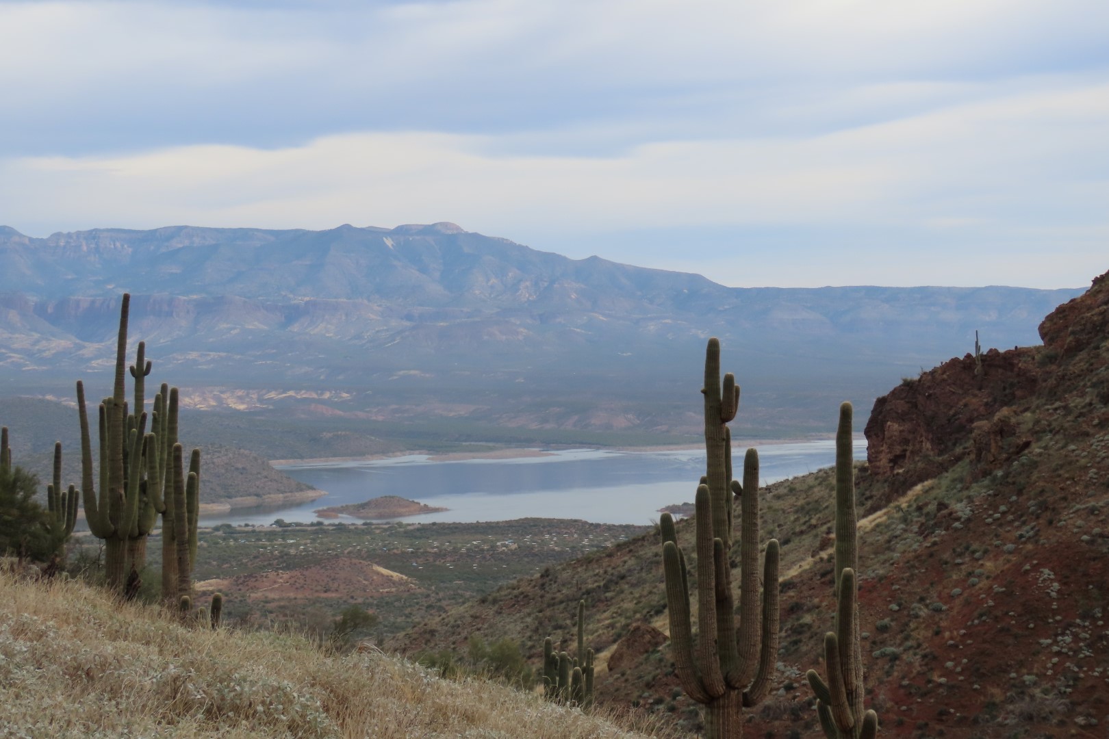 Roosevelt Lake in Arizona seen from Tonto National Park  1 of  7 (#3007)