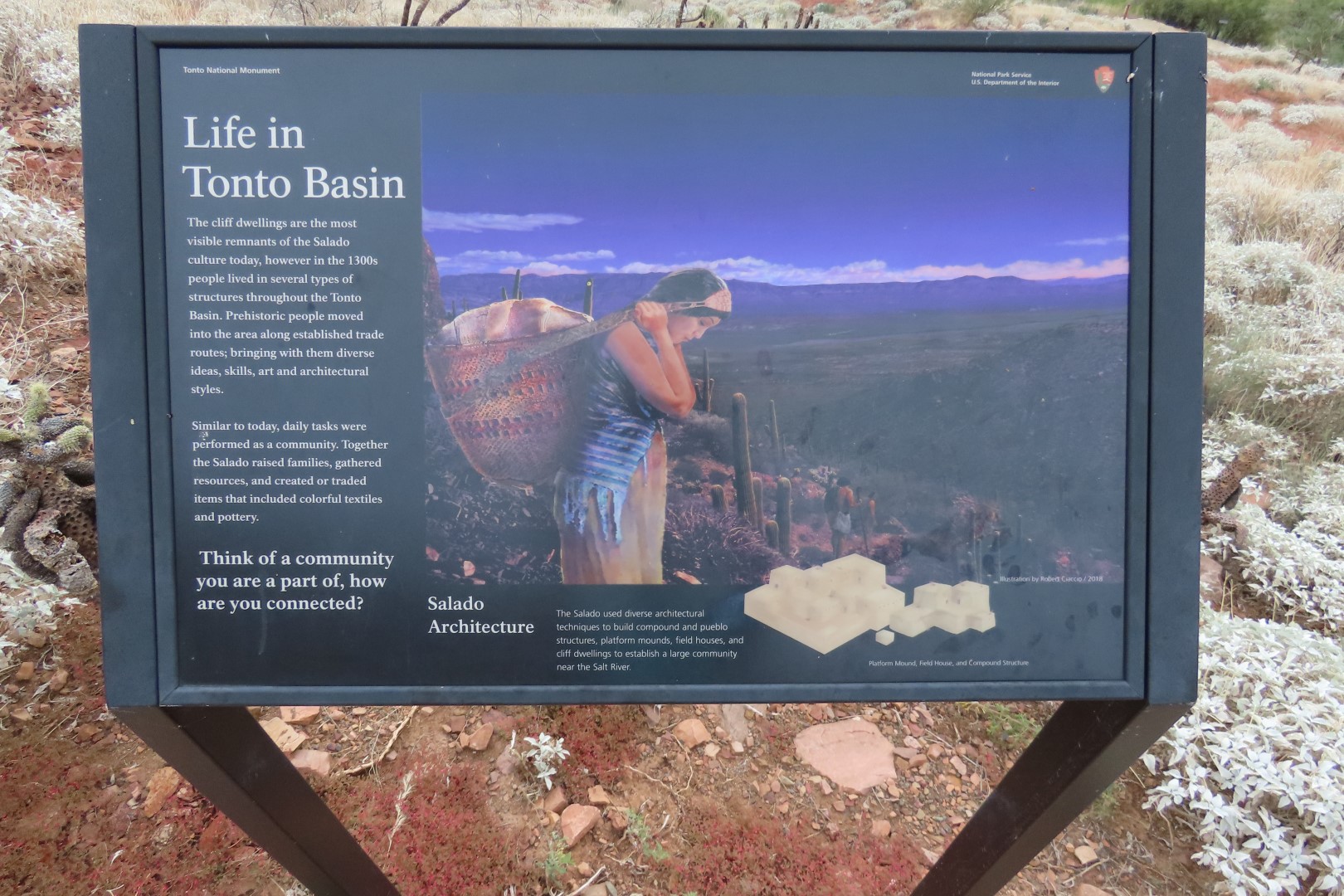 Along Tonto National Park path to the cliff dwellers's home 10 of 28 (#3008)
