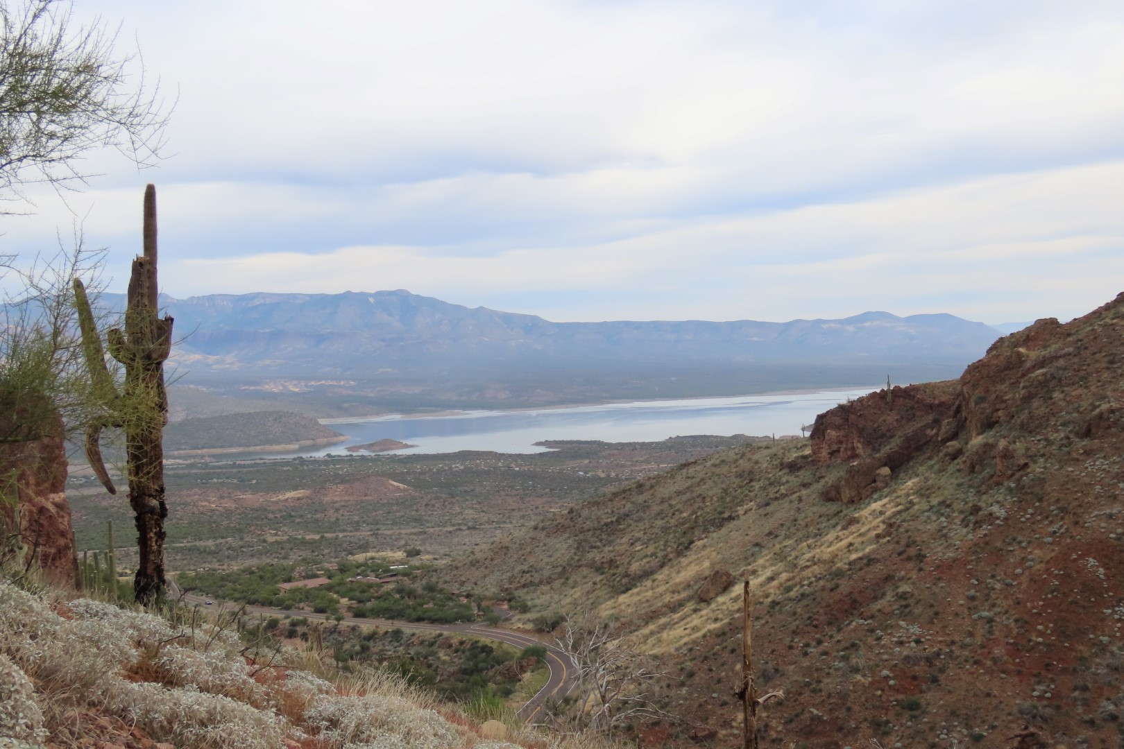 Roosevelt Lake in Arizona seen from Tonto National Park  3 of  7 (#3010)