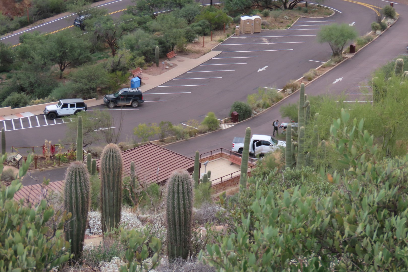 Tonto National Park Visitor Center area  5 of  6 (#3012)