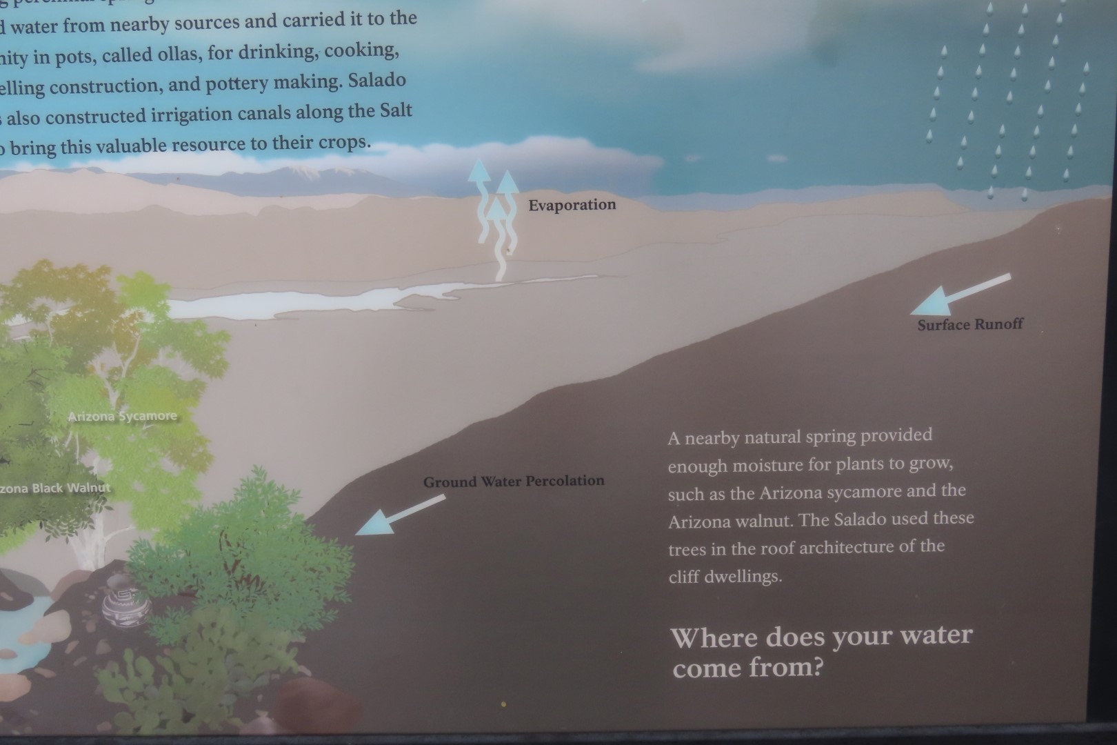 Along Tonto National Park path to the cliff dwellers's home 13 of 28 (#3013)