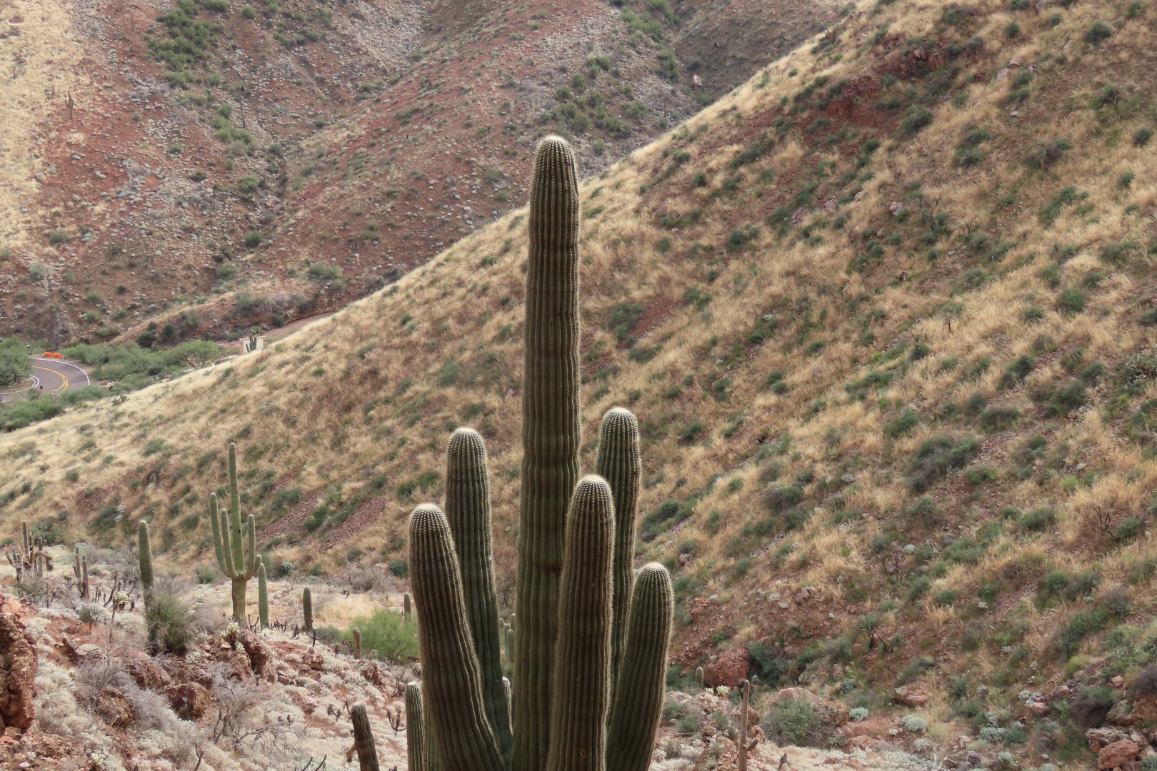 Along Tonto National Park path to the cliff dwellers's home 27 of 28 (#3030)