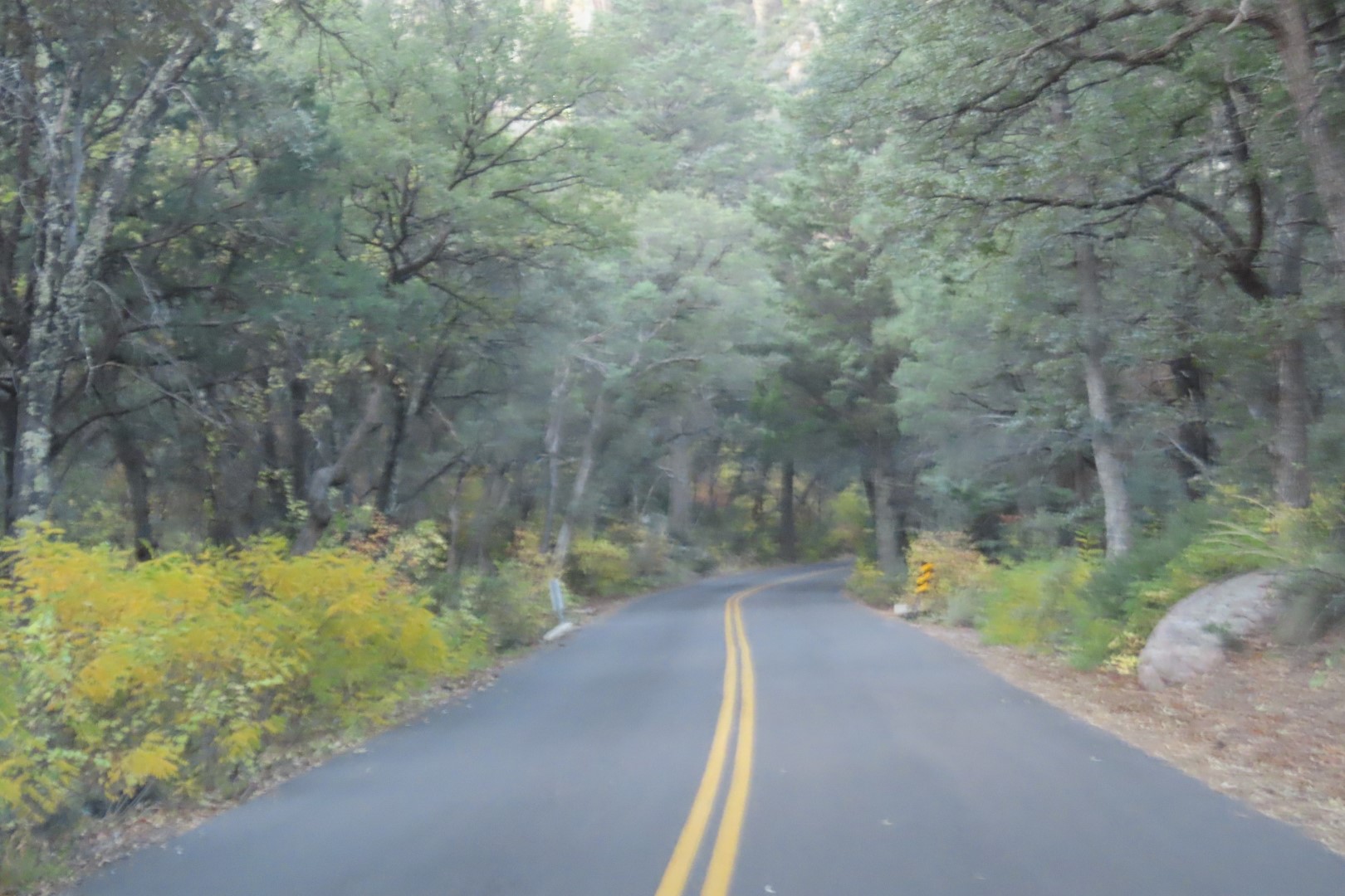 Chiricahua National Park in Arizona 20 of 23 (#3055)