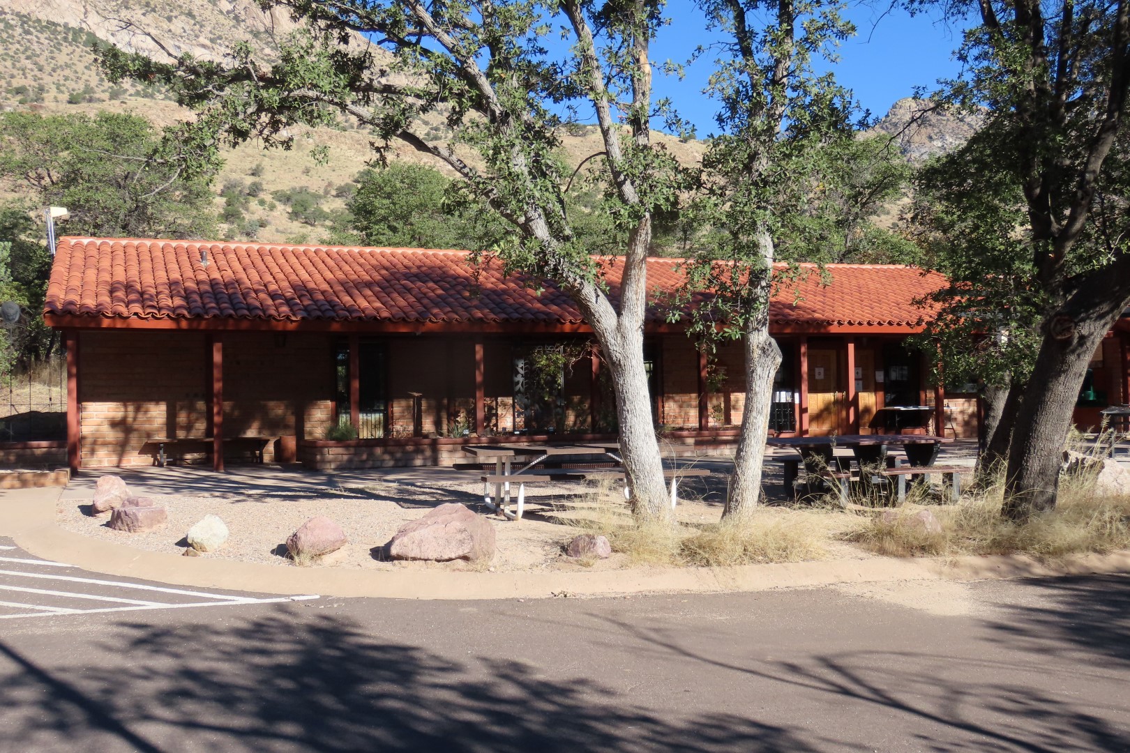 Coronado National Park in Arizona  3 of 38 (#3065)