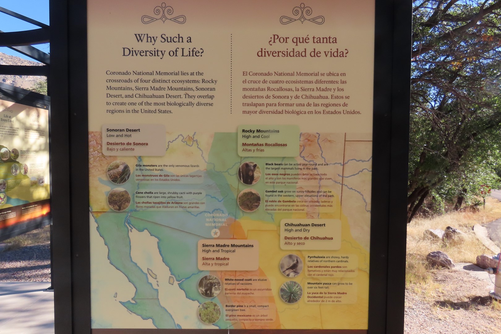 Coronado National Park in Arizona  7 of 38 (#3069)