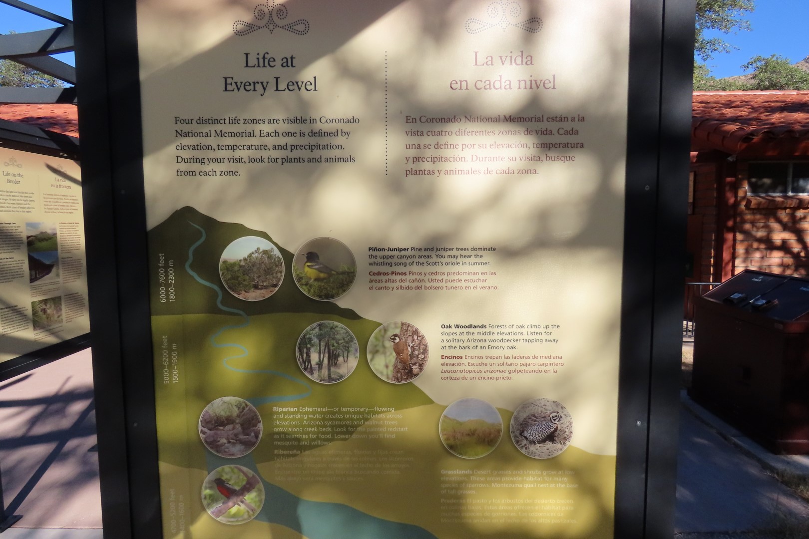 Coronado National Park in Arizona  8 of 38 (#3070)