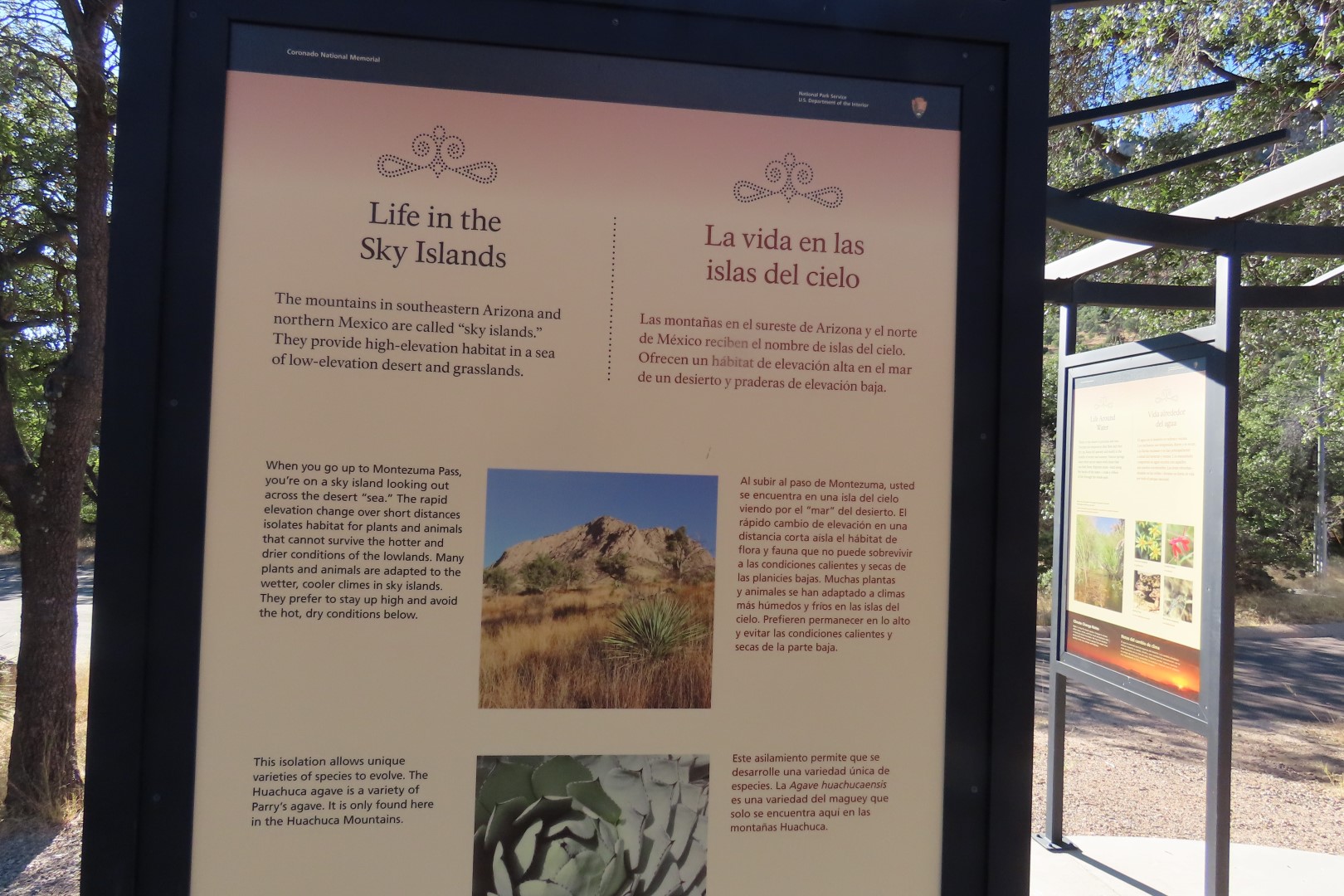 Coronado National Park in Arizona  9 of 38 (#3071)