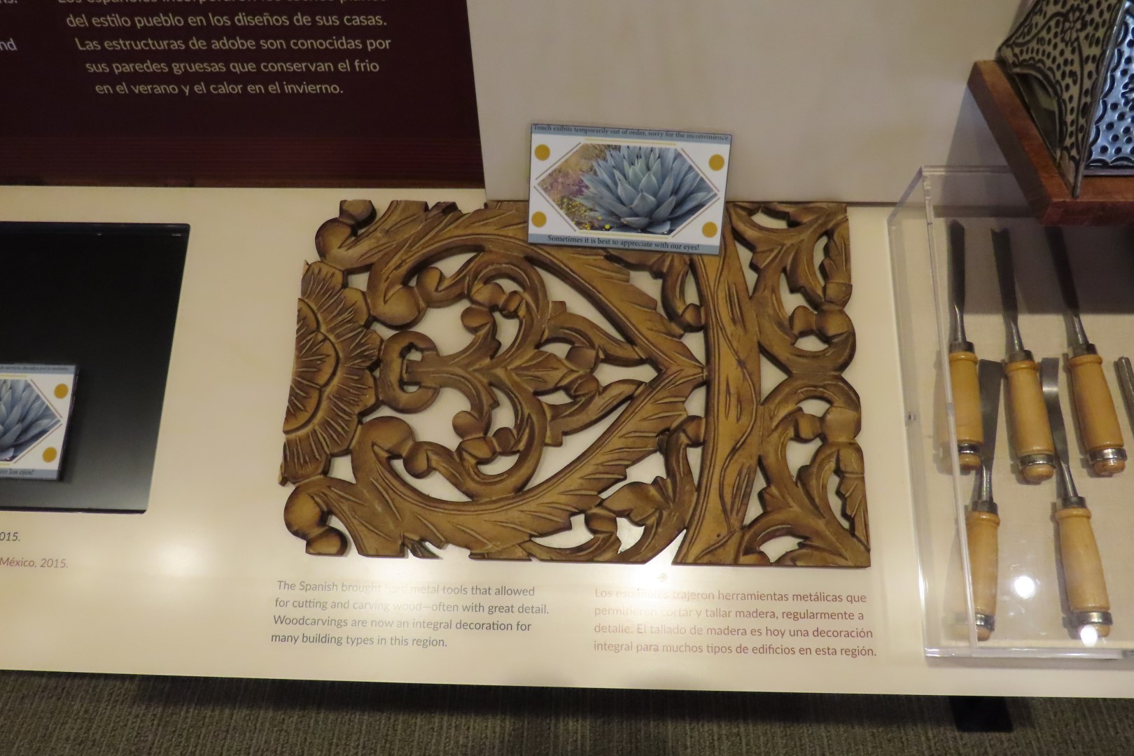 Coronado National Park in Arizona 21 of 38 (#3083)