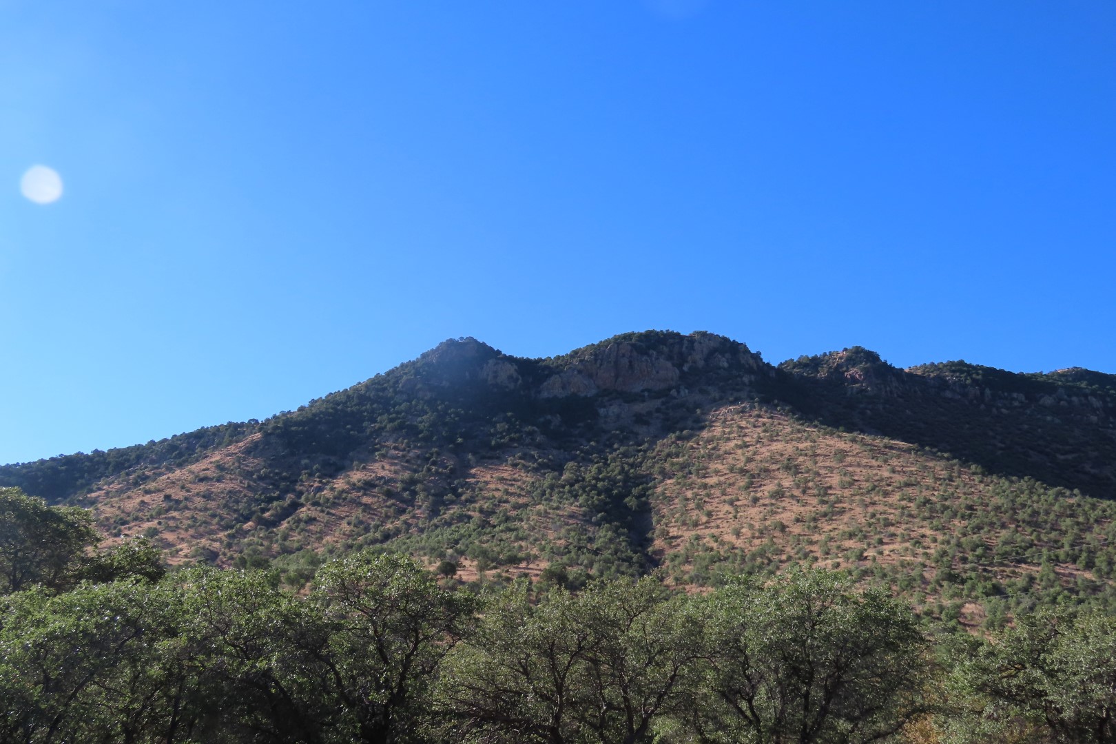 Coronado National Park in Arizona 29 of 38 (#3091)