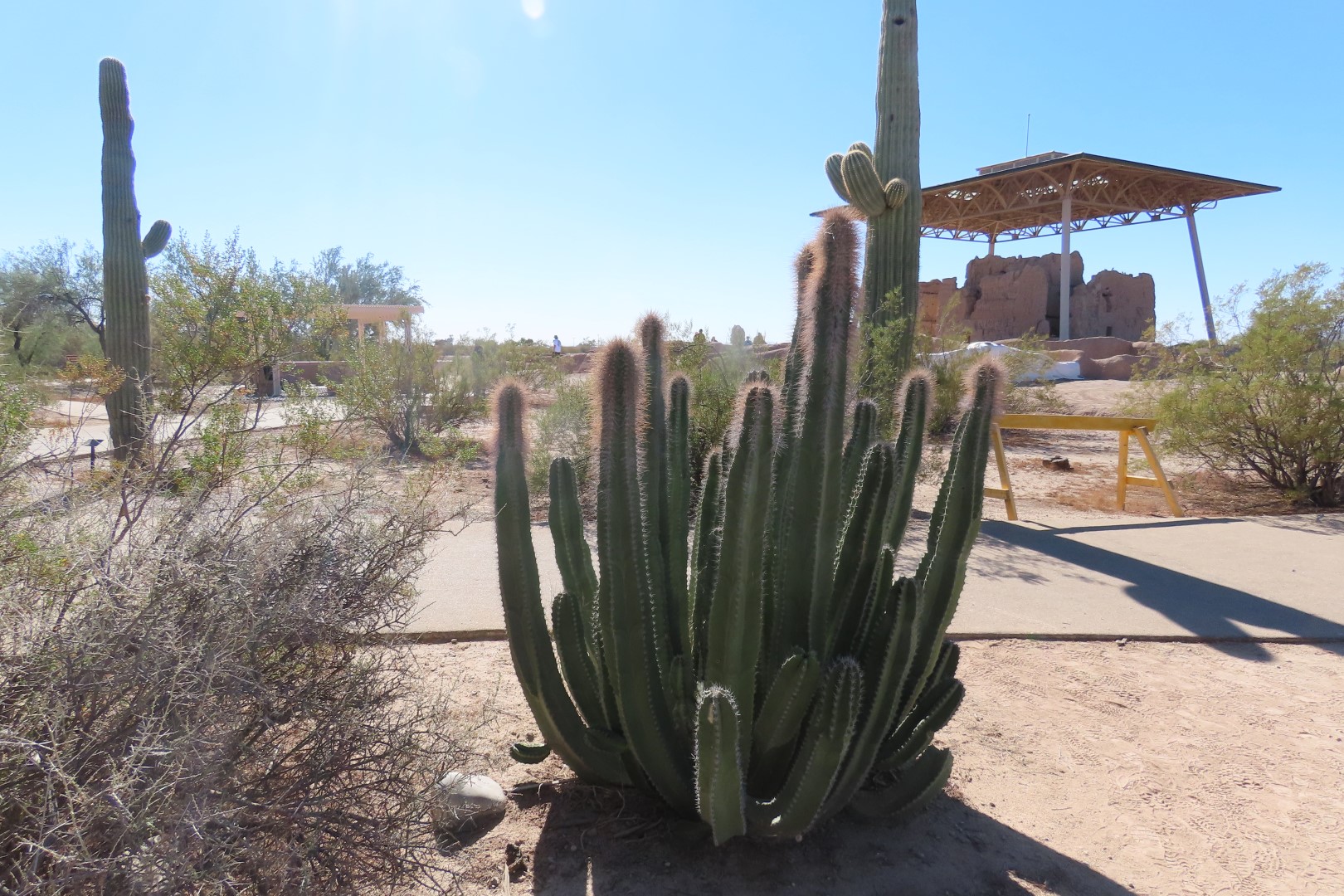 Casa Grande Ruins National Park in Arizona  5 of 29 (#3115)
