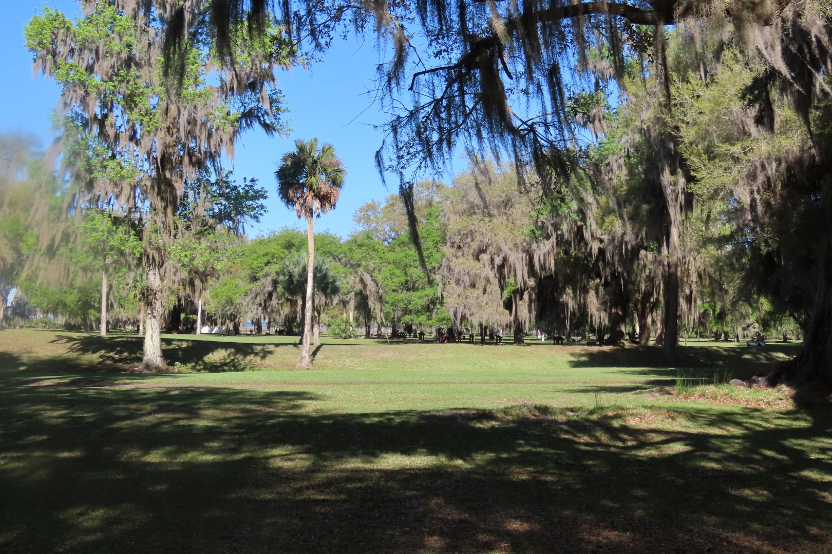 Fort Frederica National Park Visitor Center 24 of 24 (#3361)