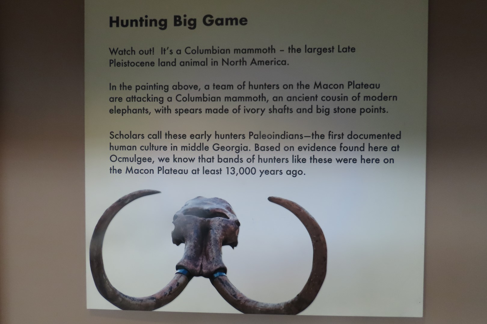 Ocmulgee Mounds National Park Visitor Center 12 of 75 (#3404)