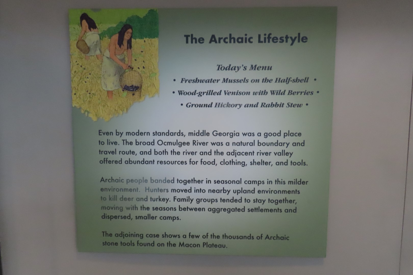 Ocmulgee Mounds National Park Visitor Center 23 of 75 (#3415)