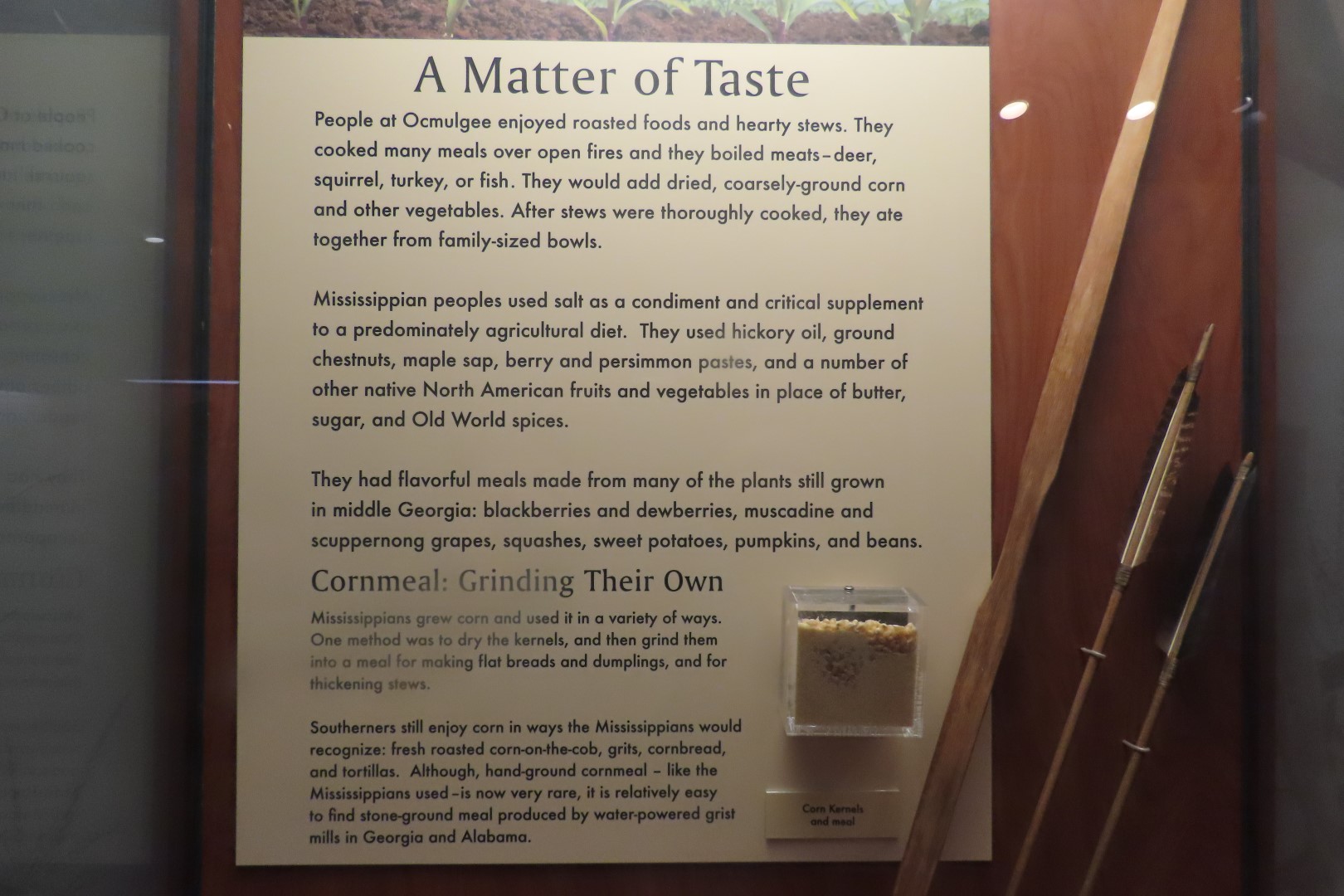 Ocmulgee Mounds National Park Visitor Center 34 of 75 (#3426)