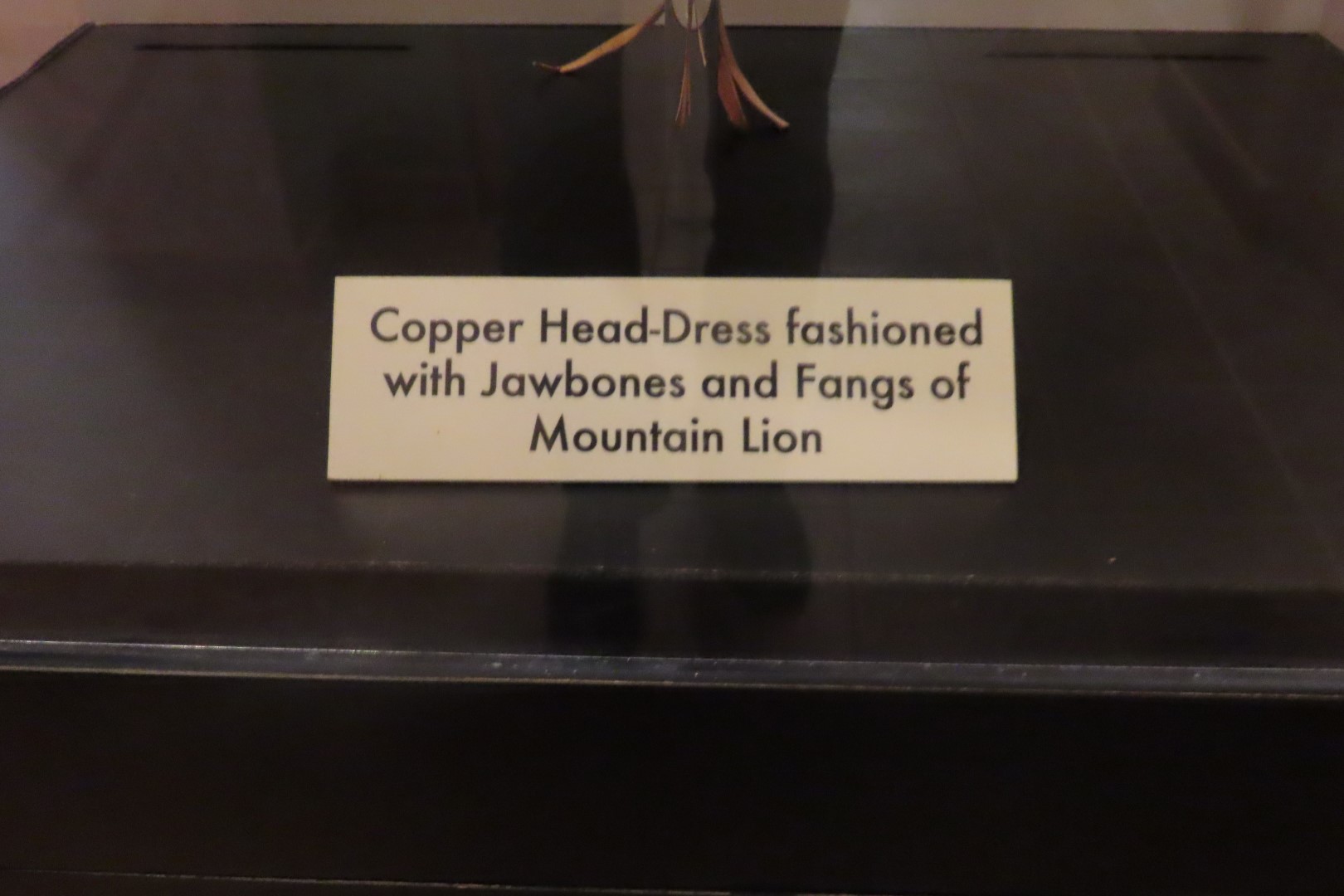 Ocmulgee Mounds National Park Visitor Center 40 of 75 (#3432)