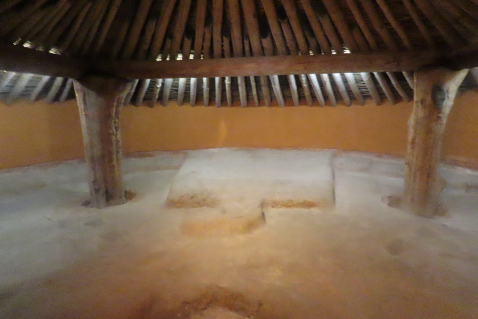 Ocmulgee Mounds National Park Visitor Center 60 of 75 (#3453)