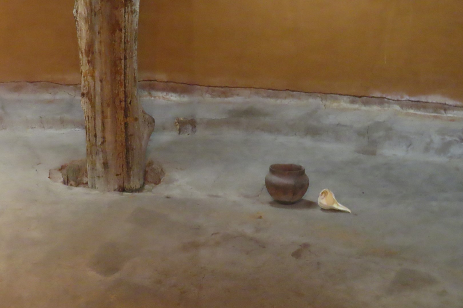 Ocmulgee Mounds National Park Visitor Center 62 of 75 (#3455)