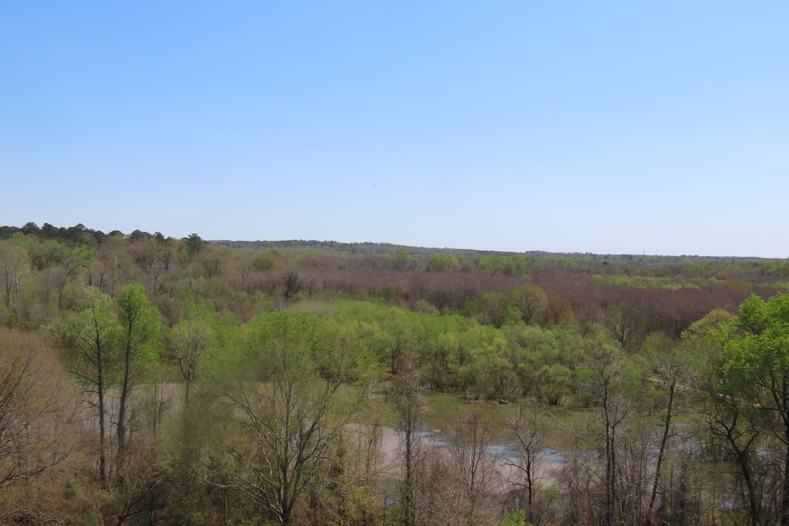Ocmulgee Mounds National Park Visitor Center 75 of 75 (#3468)