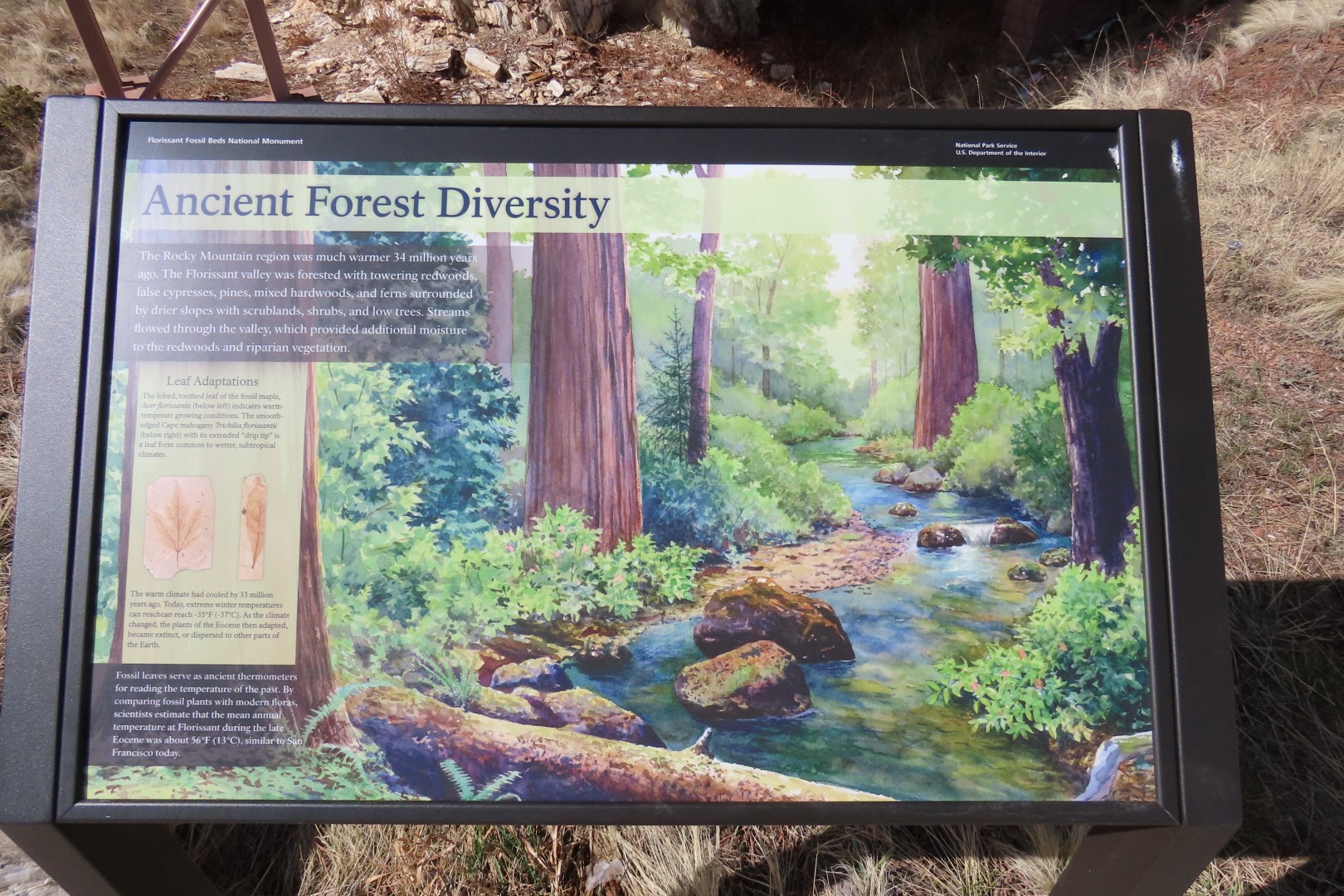 Florissant Fossil Bed National Park Visitor Center  6 of 19 (#3477)