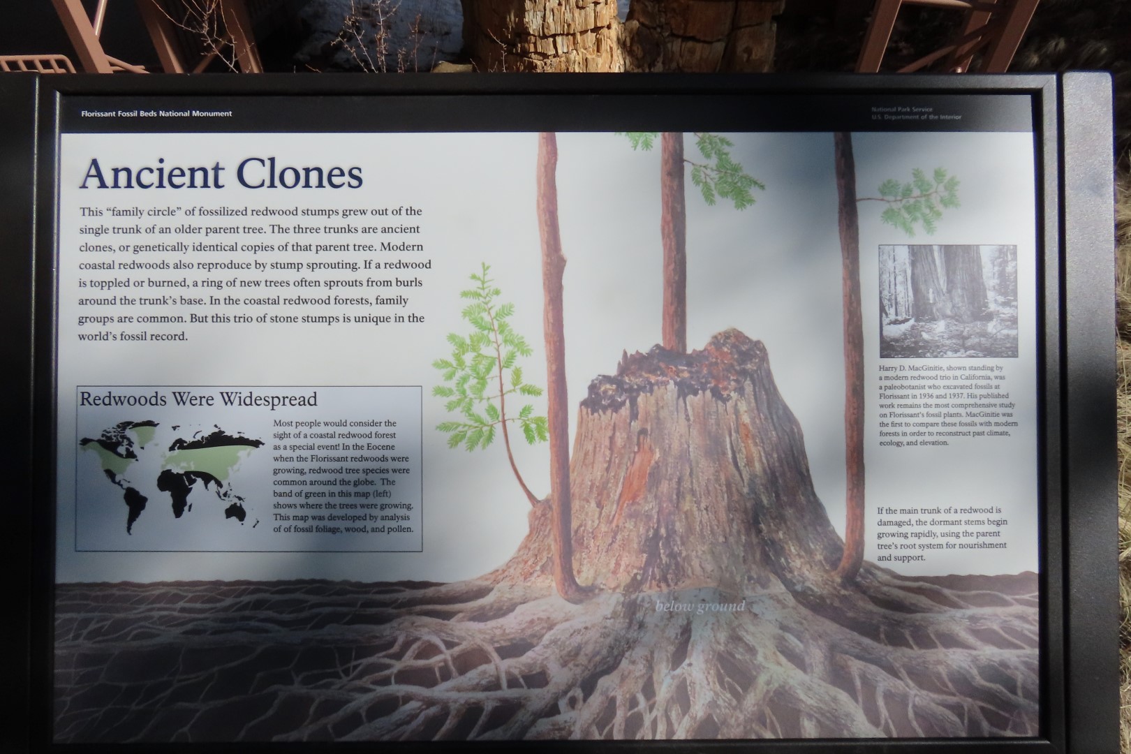 Florissant Fossil Bed National Park Visitor Center 11 of 19 (#3482)