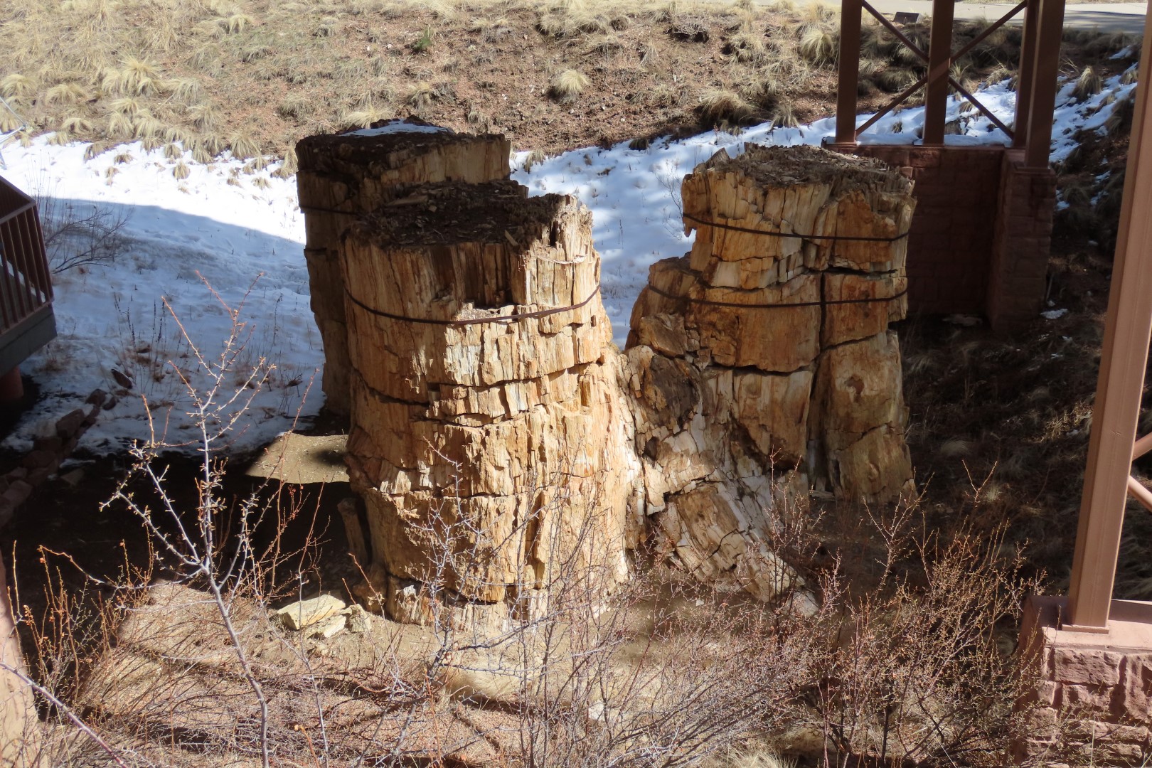 Florissant Fossil Bed National Park Visitor Center 12 of 19 (#3483)