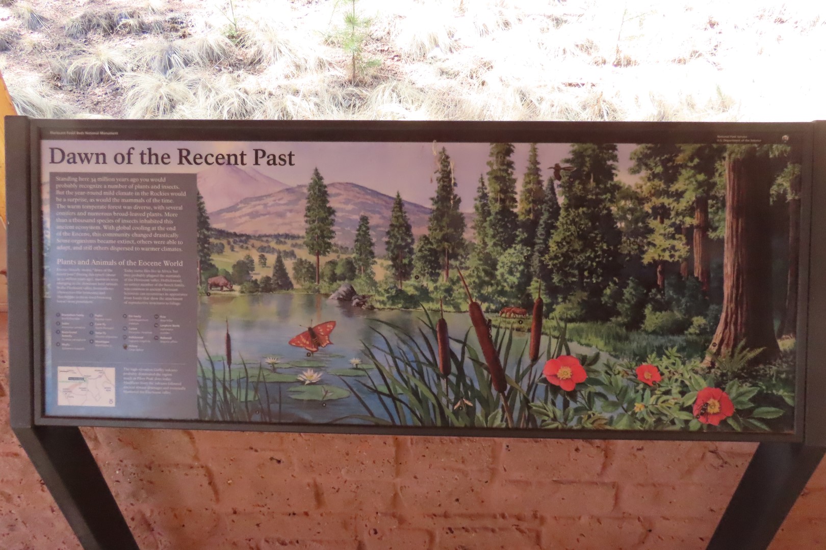 Florissant Fossil Bed National Park Visitor Center 15 of 19 (#3486)