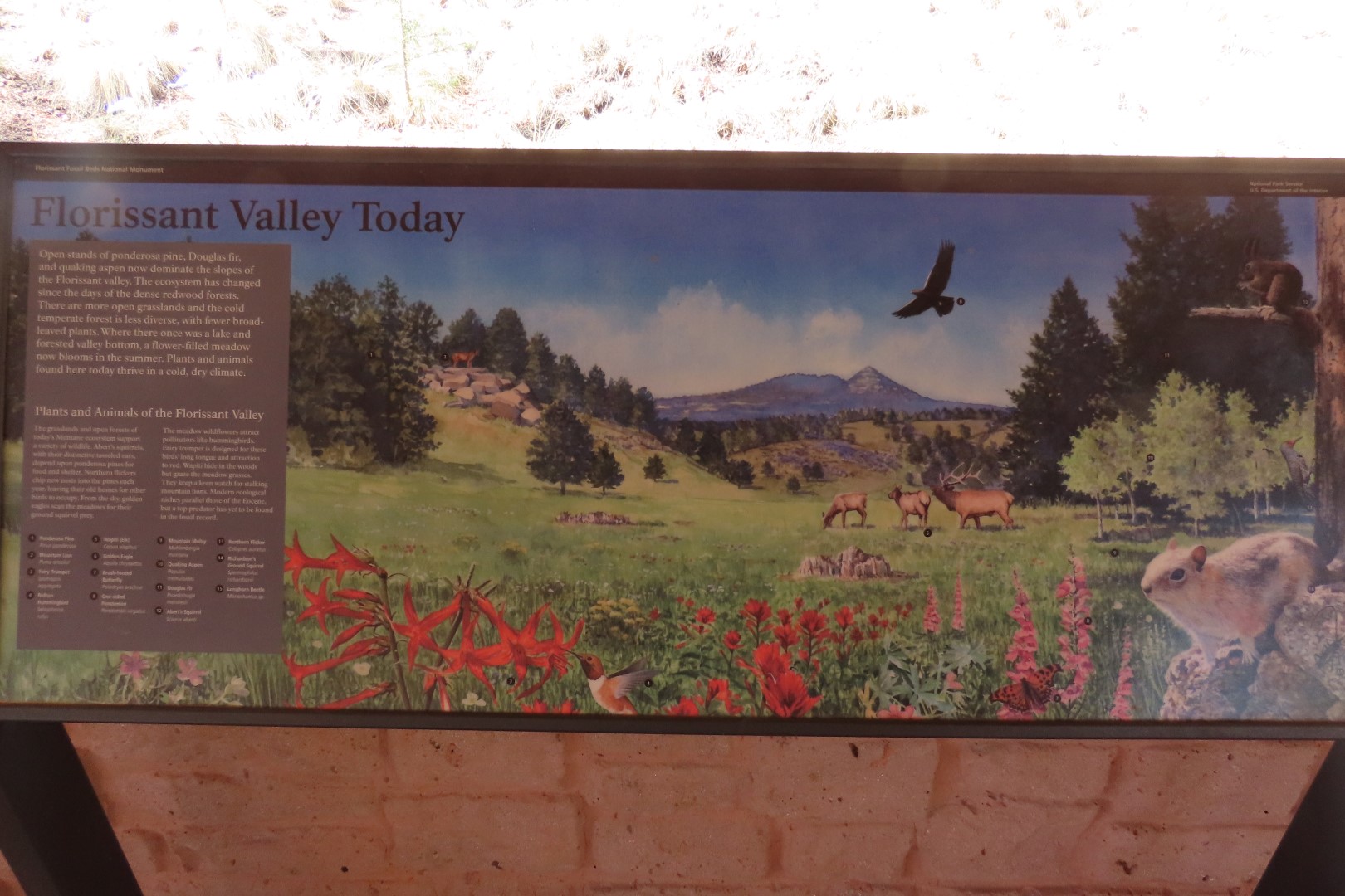 Florissant Fossil Bed National Park Visitor Center 16 of 19 (#3487)
