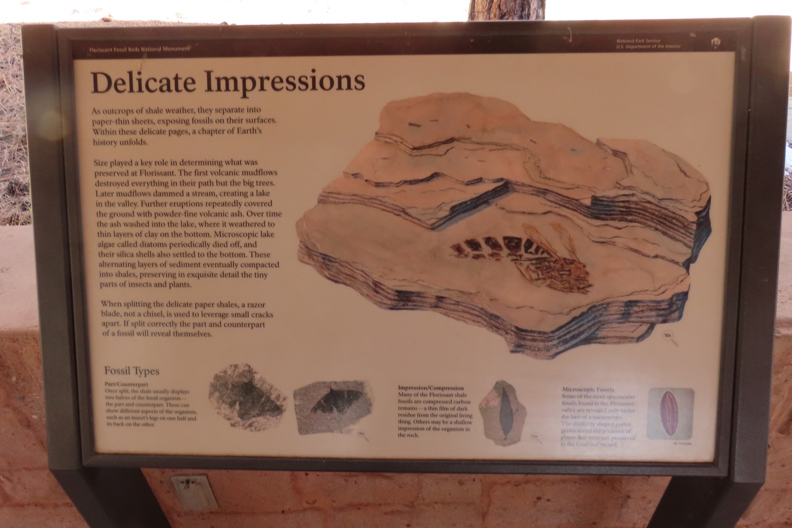 Florissant Fossil Bed National Park Visitor Center 17 of 19 (#3488)