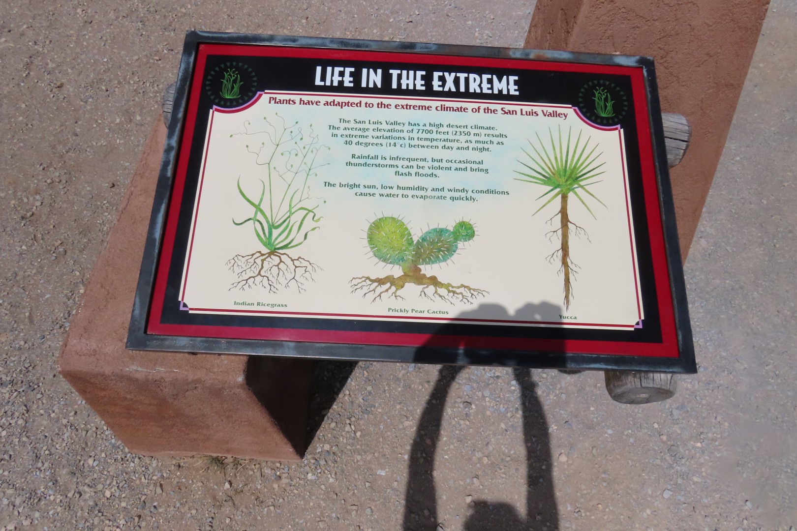 Great Sand Dune National Park Visitor Center 19 of 24 (#3527)